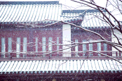 城市 唯美 唯美动图 美图 高质量 高逼格 高质量动图 摄影 摄影动图 摄影美图