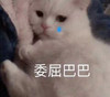 萌宠 猫星人 委屈巴巴 难受 呆萌 可爱
