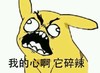 碎辣 搞笑 斗图 可爱
