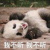 萌宠 熊猫 我不听 不要和我说 拒绝 呆萌 可爱