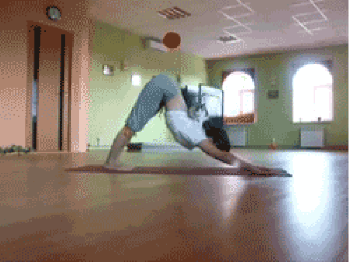 运动 瑜伽 健身 猫咪