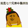 斗图 暴漫表情 我是七个兄弟中最胖的
