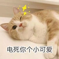 猫咪 喵星人 电死你个小可爱 放电 搞笑 可爱 萌萌哒