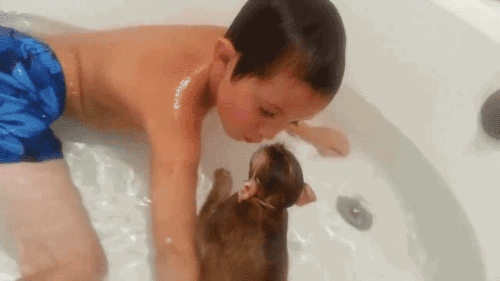洗澡 猴子 动物 小孩