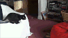 黑猫 跳 红色 垫子
