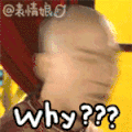 还珠格格 尔康 why 为什么