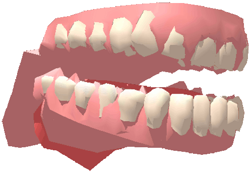 牙齿 会动 白色 粉色