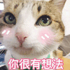你很有想法 猫 可爱 呆萌