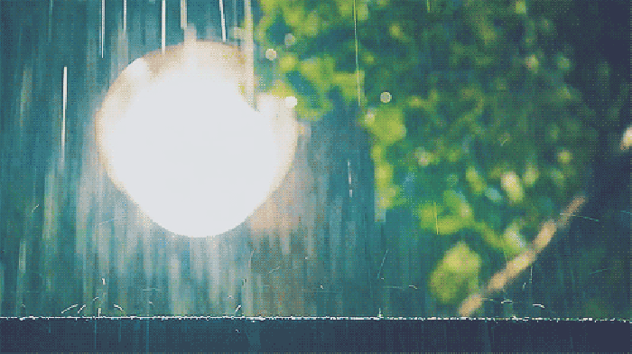 下雨 雨滴 灯光 树叶