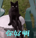 你好啊  打招呼