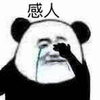 感人 熊猫头 搞怪 逗