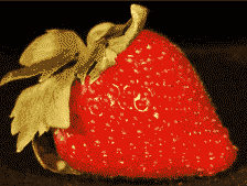 草莓  水果    动画  动态