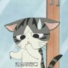 猫咪 可爱 冒汗 不开心