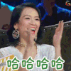 演员的诞生 章子怡 哈 soogif soogif出品