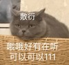 萌宠 猫星人 敷衍 哦哦我有在听 好的 呆萌 可爱
