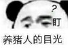 熊猫头 暴漫 养猪人的目光 搞笑 文字表情包 逗