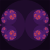 …… 分形 gif