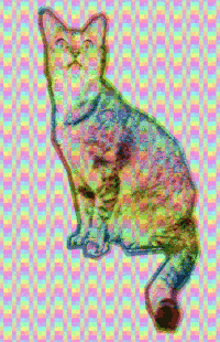 迷幻 猫 无聊的 trippgy