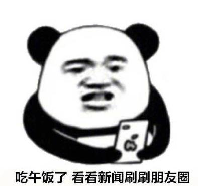 看看手机 搞笑 蠢萌 逗 熊猫头
