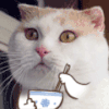 猫咪 卡通 吃面条 大眼睛