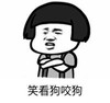 暴漫 文字表情包 笑看狗咬狗 搞笑 逗 沙雕
