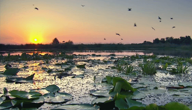 多瑙河-欧洲的亚马逊 纪录片 美 风景 黄昏