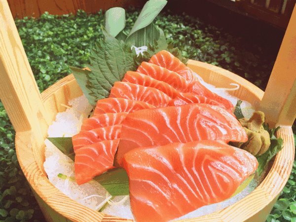 日本料理 美食 生鱼片 吃货