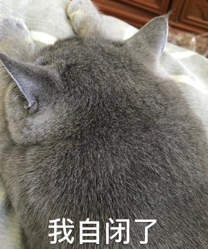 猫星人 可爱 魔性 沙雕 文字表情包