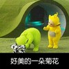 恶搞 天线宝宝 可爱 好美一朵菊花