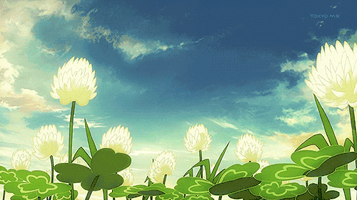 蓝天 白云 绿叶 花朵