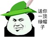 帽子 绿色 漂亮 送你一顶绿帽子