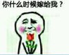 金馆长 玫瑰花 可爱 你什么时候嫁给我
