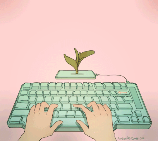 键盘 手指 花朵 枯萎