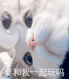 萌宠 猫星人 小泡芙 呆萌 可爱