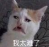我太难了 搞笑 沙雕 文字表情包 大杂烩