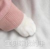 萌宠 猫星人 宝贝牵我手 猫爪 搞怪 呆萌