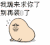微信搞笑表情 磕头 搞笑 我跪来求你了别再装B了