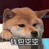 萌宠 汪星人 钱包空空 穷 呆萌 搞怪