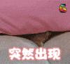 soogif soogif出品 突然出现 我来了 来了 我来啦