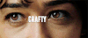 CRAFTY 眼睛 特写 近镜头