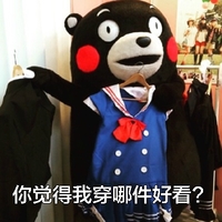 熊本熊 我穿哪件好看 选衣服 搞笑 可爱