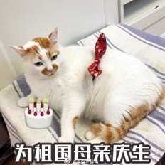 等放假 国庆节 可爱 文字表情包 喵星人