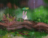 下雨 兔子 抬头