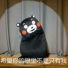 大家都爱的 熊本熊 恶搞 希望你的眼里不要只有我
