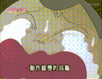 蜡笔小新 小新 动漫 二次元