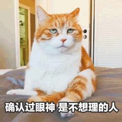 猫 萌宠 确认过眼神是不想理的人