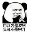 熊猫头 文字表情包 自以为是波妞我可不是宗介 搞笑 逗 沙雕