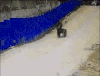 逗比男 拉车 泥浆 摔倒