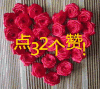 玫瑰花 漂亮 美丽 鲜艳 点32个赞