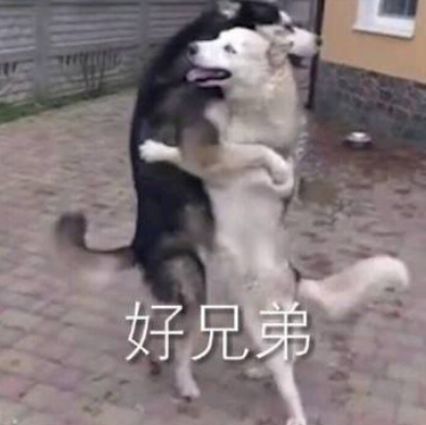 沙雕 魔性 搞笑 可爱 蠢萌